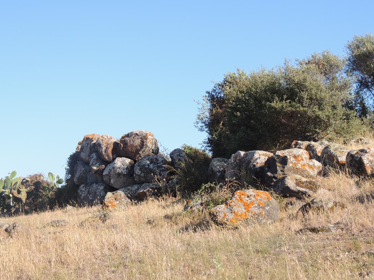 Bed and Breakfast Il Nuraghe à Uras Extérieur photo